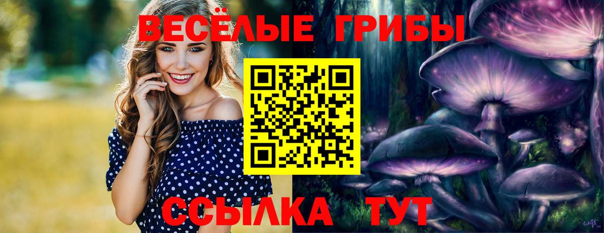 Псилоцибиновые грибы Magic Shrooms Ярославль