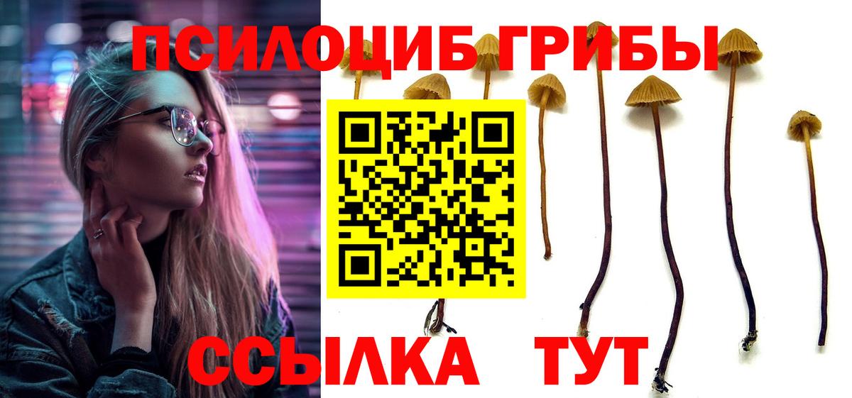 Галлюциногенные грибы Psilocybine cubensis  Псилоцибиновые грибы прущие грибы  Ярославль  Вход с VPN 